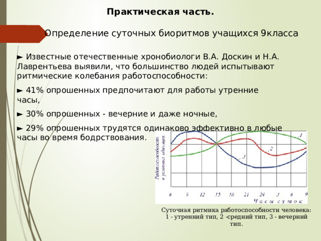 Практическая часть.   Определение суточных биоритмов учащихся 9класса ► Известные отечественные хронобиологи В.А. Доскин и Н.А. Лаврентьева выявили, что большинство людей испытывают ритмические колебания работоспособности: ► 41% опрошенных предпочитают для работы утренние часы, ► 30% опрошенных - вечерние и даже ночные, ► 29% опрошенных трудятся одинаково эффективно в любые часы во время бодрствования. Суточная ритмика работоспособности человека: 1 - утренний тип, 2 -средний тип, 3 - вечерний тип. 