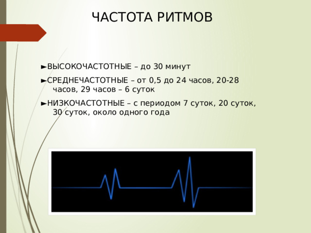 ЧАСТОТА РИТМОВ ► ВЫСОКОЧАСТОТНЫЕ – до 30 минут ► СРЕДНЕЧАСТОТНЫЕ – от 0,5 до 24 часов, 20-28 часов, 29 часов – 6 суток ► НИЗКОЧАСТОТНЫЕ – с периодом 7 суток, 20 суток, 30 суток, около одного года 