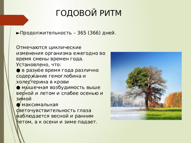 ГОДОВОЙ РИТМ ► Продолжительность – 365 (366) дней. Отмечаются циклические изменения организма ежегодно во время смены времен года. Установлено, что: ● в разное время года различно содержание гемоглобина и холестерина в крови ● мышечная возбудимость выше весной и летом и слабее осенью и зимой ● максимальная светочувствительность глаза наблюдается весной и ранним летом, а к осени и зиме падает. 