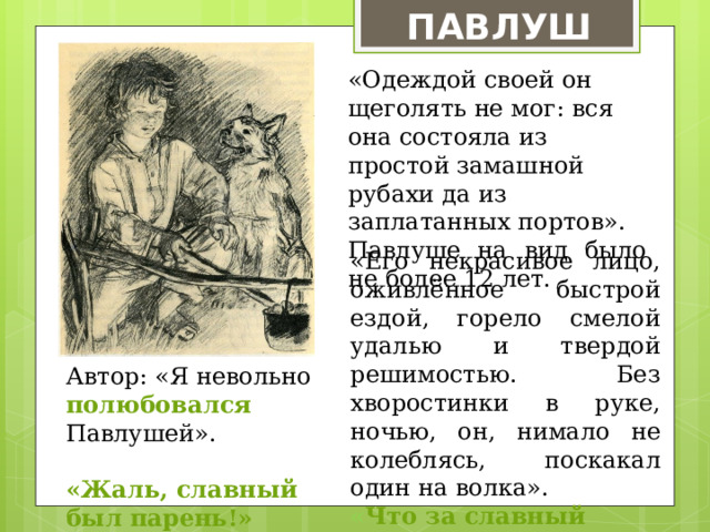 ПАВЛУША «Одеждой своей он щеголять не мог: вся она состояла из простой замашной рубахи да из заплатанных портов». Павлуше на вид было не более 12 лет. «Его некрасивое лицо, оживлённое быстрой ездой, горело смелой удалью и твердой решимостью. Без хворостинки в руке, ночью, он, нимало не колеблясь, поскакал один на волка». « Что за славный мальчик!» Автор: «Я невольно полюбовался Павлушей». «Жаль, славный был парень!» 