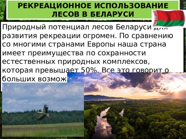 Рекреационное использование лесов в Беларуси Природный потенциал лесов Беларуси для развития рекреации огромен. По сравнению со многими странами Европы наша страна имеет преимущества по сохранности естественных природных комплексов, которая превышает 50%. Все это говорит о больших возможностях развития рекреации и экологического туризма в Беларуси. 