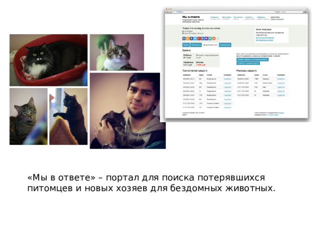 «Мы в ответе» – портал для поиска потерявшихся питомцев и новых хозяев для бездомных животных.