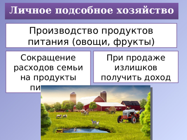 Личное подсобное хозяйство Производство продуктов питания (овощи, фрукты) Сокращение расходов семьи на продукты питания При продаже излишков получить доход 
