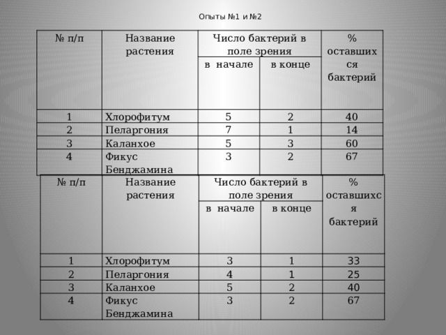 Опыты №1 и №2 № п/п Название растения 1 Число бактерий в поле зрения Хлорофитум 2 в начале в конце 5 % Пеларгония 3 4 оставшихся бактерий 2 7 Каланхое 40 1 5 Фикус Бенджамина 3 14 3 60 2 67 № п/п Название растения 1 Число бактерий в поле зрения 2 Хлорофитум в начале 3 Пеларгония 3 % в конце 4 1 4 Каланхое оставшихся бактерий 1 33 5 Фикус Бенджамина 25 2 3 40 2 67 