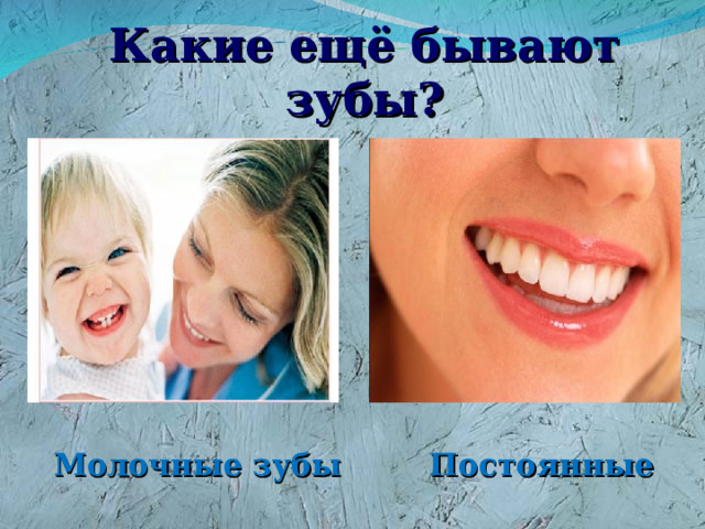 Какие ещё бывают зубы?  Постоянные Молочные зубы  