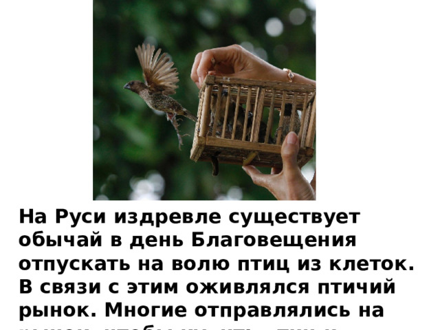 На Руси издревле существует обычай в день Благовещения отпускать на волю птиц из клеток. В связи с этим оживлялся птичий рынок. Многие отправлялись на рынок, чтобы купить птиц и выпустить их на волю. 