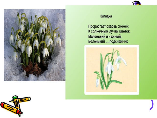 Презентация подснежники 1 класс