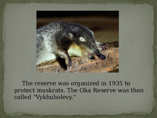   The reserve was organized in 1935 to protect muskrats. The Oka Reserve was then called 