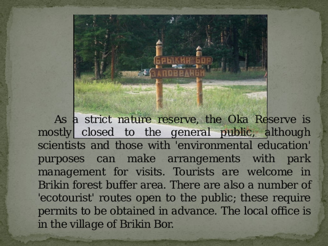   As a strict nature reserve, the Oka Reserve is mostly closed to the general public, although scientists and those with 'environmental education' purposes can make arrangements with park management for visits. Tourists are welcome in Brikin forest buffer area. There are also a number of 'ecotourist' routes open to the public; these require permits to be obtained in advance. The local office is in the village of Brikin Bor. 