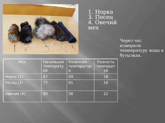1. Норка 3 . Песец 4 . Овечий мех Через час измерили температуру воды в бутылках. Мех Начальная температура Норка (1) Конечная температура Песец (3) 87 Разность температур Овечий (4) 77 69 61 80 18 16 58 22 