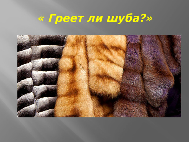 « Греет ли шуба?» 