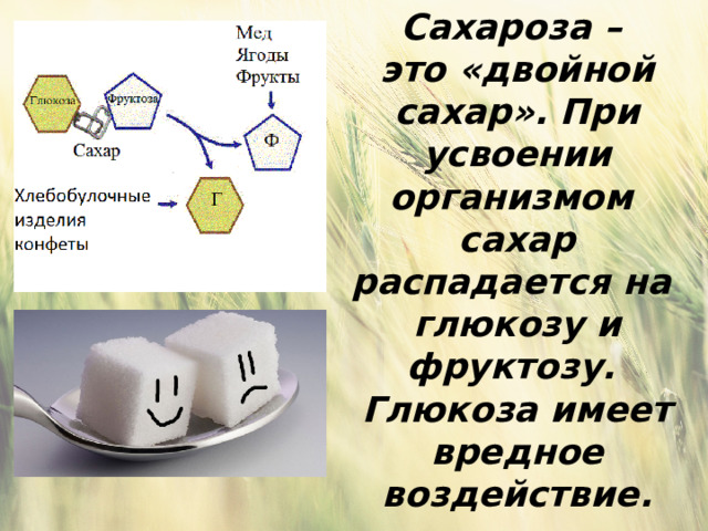 Какой цвет имеет сахар. Различия между фруктозой и глюкозой. Разница между сахаром и глюкозой.