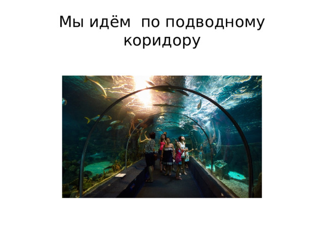 Мы идём по подводному коридору 