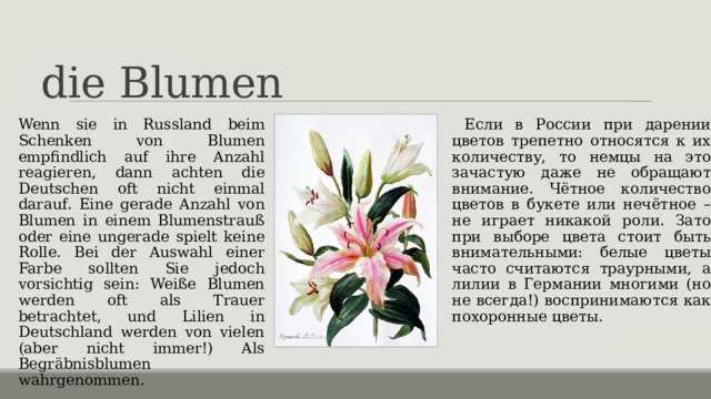 die Blumen   Wenn sie in Russland beim Schenken von Blumen empfindlich auf ihre Anzahl reagieren, dann achten die Deutschen oft nicht einmal darauf. Eine gerade Anzahl von Blumen in einem Blumenstrauß oder eine ungerade spielt keine Rolle. Bei der Auswahl einer Farbe sollten Sie jedoch vorsichtig sein: Weiße Blumen werden oft als Trauer betrachtet, und Lilien in Deutschland werden von vielen (aber nicht immer!) Als Begräbnisblumen wahrgenommen.  Если в России при дарении цветов трепетно относятся к их количеству, то немцы на это зачастую даже не обращают внимание. Чётное количество цветов в букете или нечётное – не играет никакой роли. Зато при выборе цвета стоит быть внимательными: белые цветы часто считаются траурными, а лилии в Германии многими (но не всегда!) воспринимаются как похоронные цветы. 