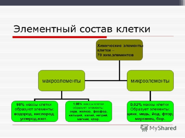 Составьте схему вещества клетки