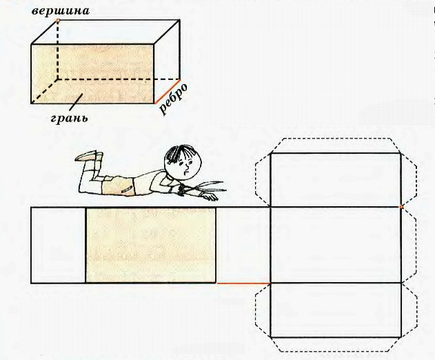 Построить развертку прямоугольного параллелепипеда