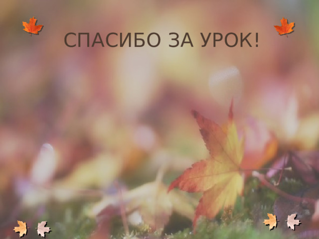 Спасибо за урок! 