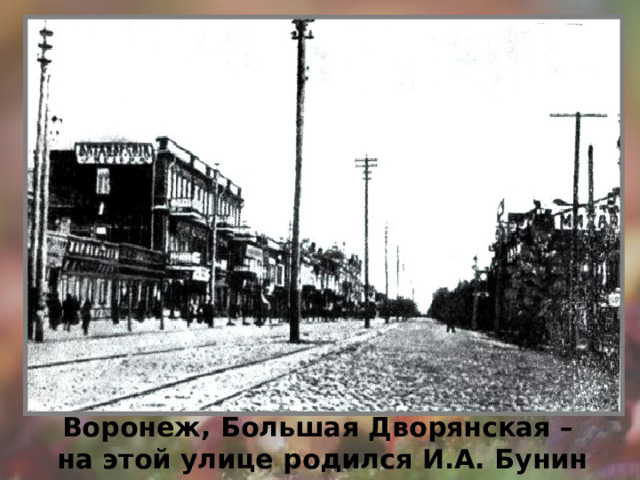 Воронеж, Большая Дворянская – на этой улице родился И.А. Бунин 
