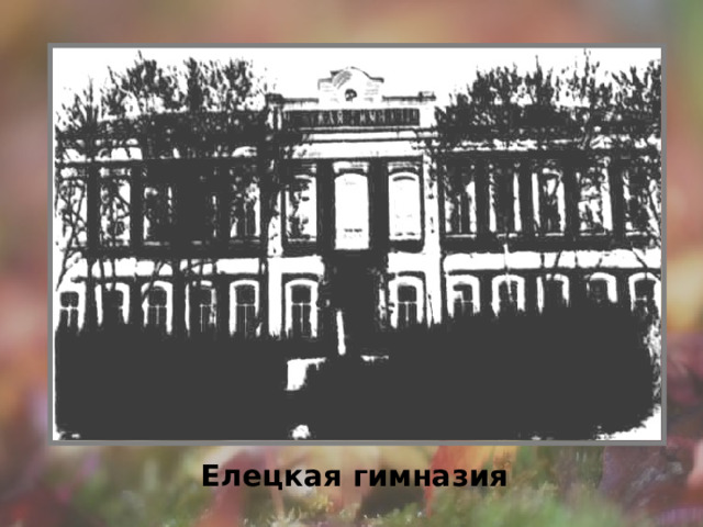 Елецкая гимназия 