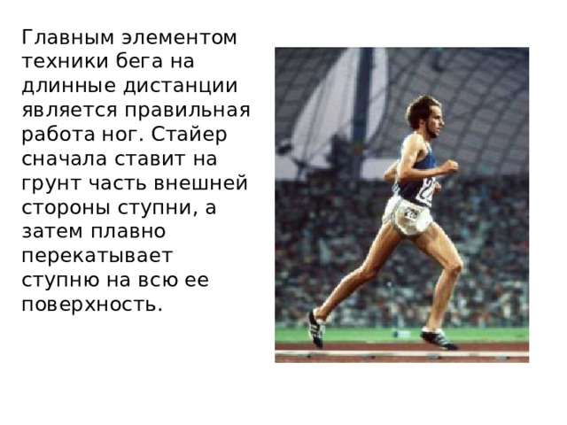 Главным элементом техники бега на длинные дистанции является правильная работа ног. Стайер сначала ставит на грунт часть внешней стороны ступни, а затем плавно перекатывает ступню на всю ее поверхность. 