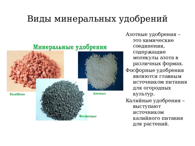 Институт химических удобрений и ядов. Минеральные удобрения химия. Фосфорные удобрения. Минеральные удобрения химия 9 класс. Азотно-фосфатно-калийное.