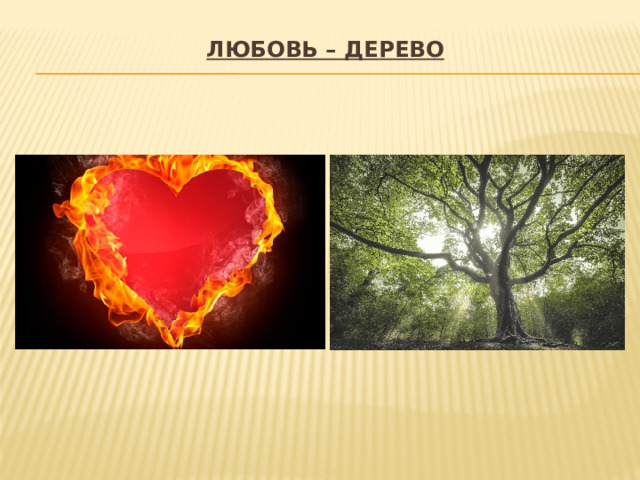 Любовь – дерево