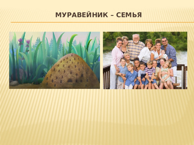 муравейник – семья