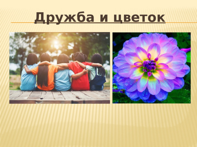 Дружба и цветок