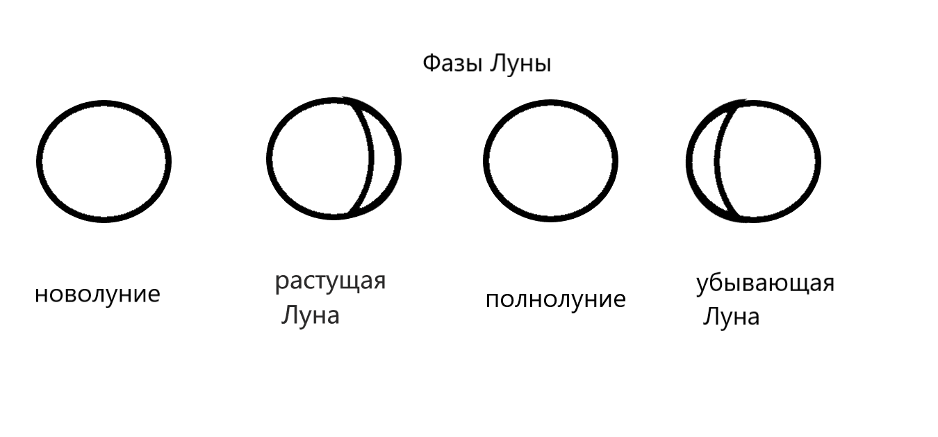 Урок окружающего мира в 1 классе 