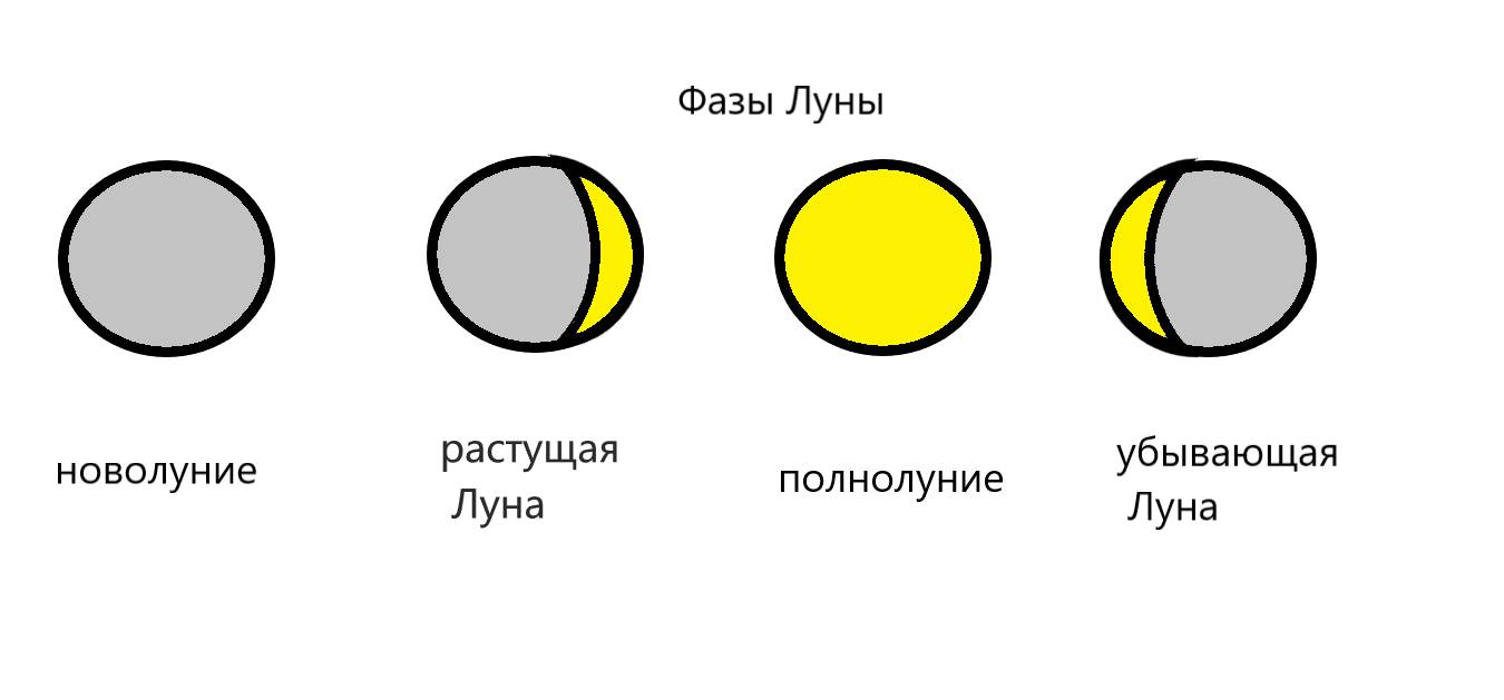 Урок окружающего мира в 1 классе 