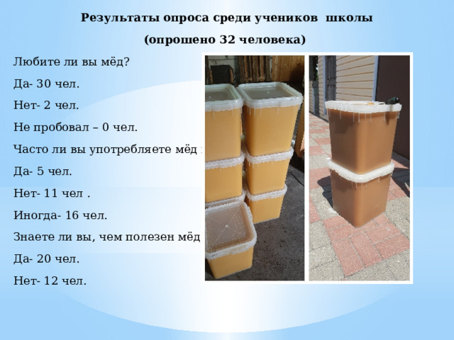 Результаты опроса среди учеников школы (опрошено 32 человека) Любите ли вы мёд? Да- 30 чел. Нет- 2 чел. Не пробовал – 0 чел. Часто ли вы употребляете мёд в пищу? Да- 5 чел. Нет- 11 чел . Иногда- 16 чел. Знаете ли вы, чем полезен мёд для человека? Да- 20 чел. Нет- 12 чел. 