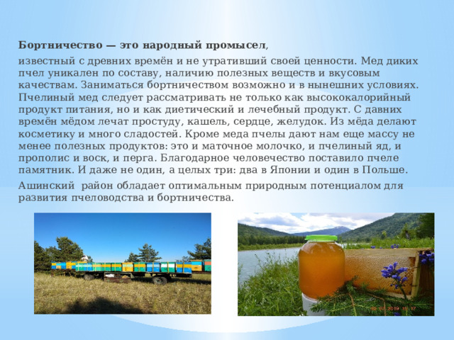 Бортничество — это народный промысел , известный с древних времён и не утративший своей ценности. Мед диких пчел уникален по составу, наличию полезных веществ и вкусовым качествам. Заниматься бортничеством возможно и в нынешних условиях. Пчелиный мед следует рассматривать не только как высококалорийный продукт питания, но и как диетический и лечебный продукт. С давних времён мёдом лечат простуду, кашель, сердце, желудок. Из мёда делают косметику и много сладостей. Кроме меда пчелы дают нам еще массу не менее полезных продуктов: это и маточное молочко, и пчелиный яд, и прополис и воск, и перга. Благодарное человечество поставило пчеле памятник. И даже не один, а целых три: два в Японии и один в Польше. Ашинский район обладает оптимальным природным потенциалом для развития пчеловодства и бортничества. 