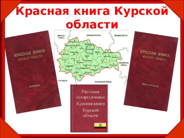 Красная книга Курской области 