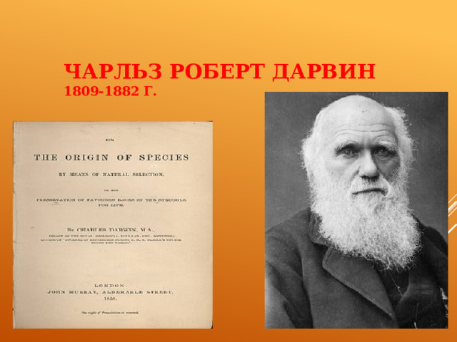 Чарльз Роберт Дарвин  1809-1882 г. Теория эволюции 