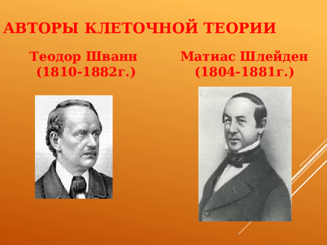 Авторы клеточной теории    Теодор Шванн Матиас Шлейден (1810-1882г.) (1804-1881г.) 
