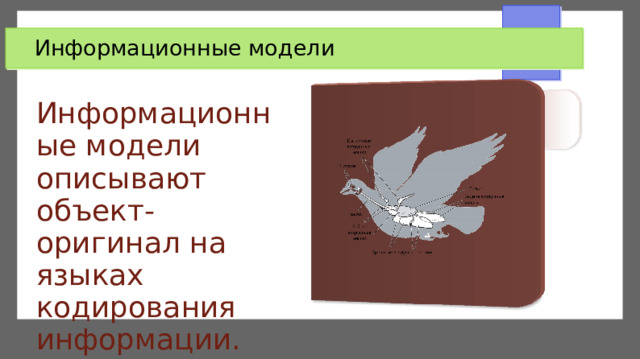 Информационные модели Информационные модели описывают объект-оригинал на языках кодирования информации. 