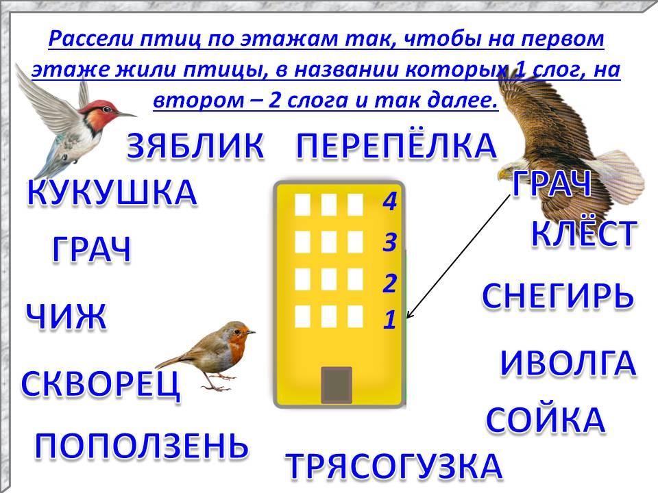 Заливаются птицы малиновки зяблики составить схему предложения