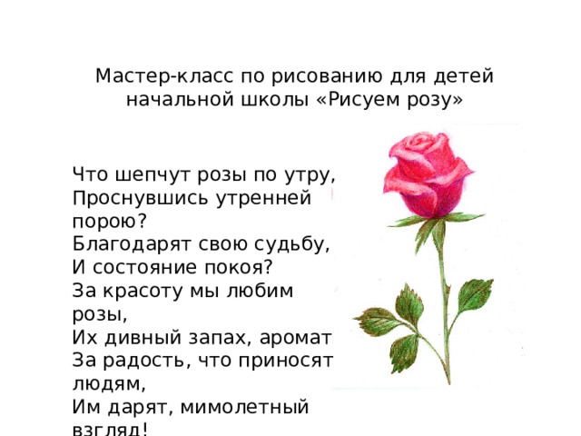 Задачи про розу. 2 Предложения про розу. Текст-описание про розу коротко. Нарисовать прозу мы с тобой бестолковые люди.