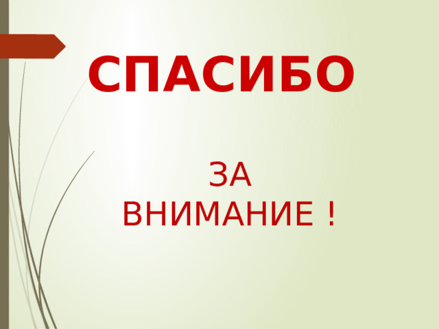 СПАСИБО  ЗА ВНИМАНИЕ ! 