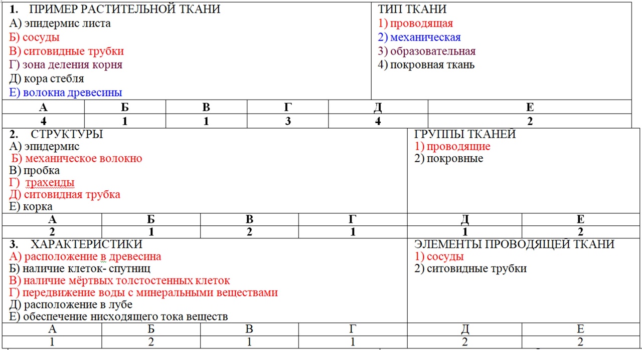 Тест по тканям биология. Тест по растительным тканям 6 класс с ответами.