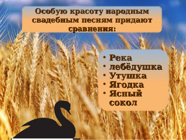 Особую красоту народным свадебным песням придают сравнения: Река лебёдушка Утушка Ягодка Ясный сокол 