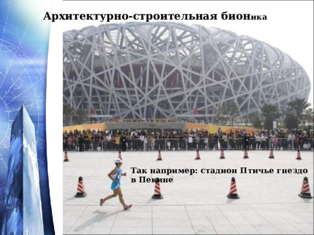 Архитектурно-строительная бион ика  Так например: стадион Птичье гнездо в Пекине 