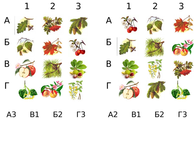 1 1 А А 2 Б 2 Б 3 В 3 В Г Г А3 А2 В1 В1 Б2 Б2 Г3 Г3 