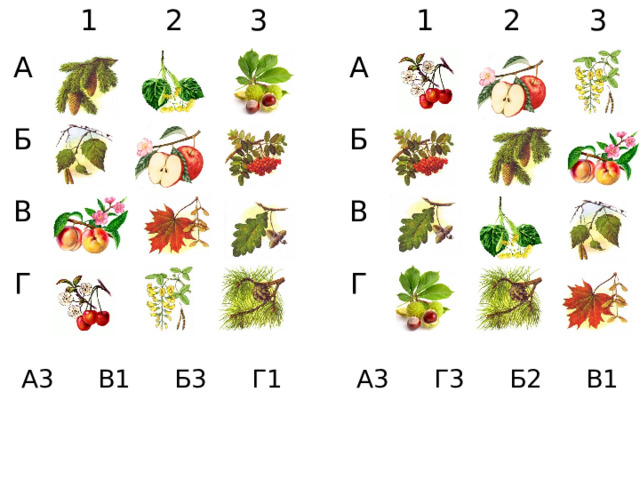 1 1 А А Б 2 2 Б В 3 3 В Г Г А3 А3 Г3 В1 Б3 Б2 Г1 В1 