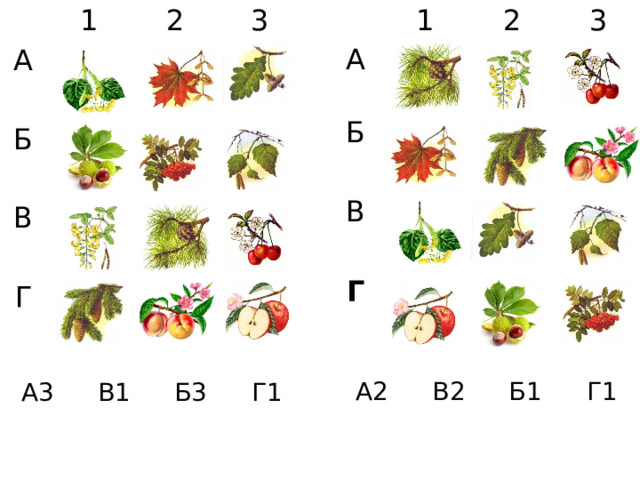 1 1 А А 2 2 Б Б В 3 3 В Г Г А2 В2 Б1 Г1 А3 В1 Б3 Г1 