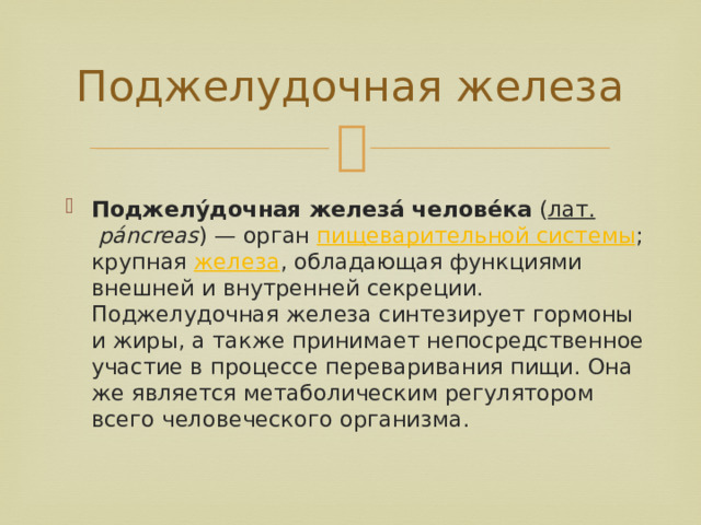 Поджелудочная железа Поджелу́дочная железа́ челове́ка  ( лат.   páncreas ) — орган  пищеварительной системы ; крупная  железа , обладающая функциями внешней и внутренней секреции. Поджелудочная железа синтезирует гормоны и жиры, а также принимает непосредственное участие в процессе переваривания пищи. Она же является метаболическим регулятором всего человеческого организма. 