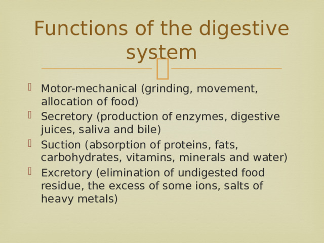 Functions of the digestive system Motor-mechanical (grinding, movement, allocation of food) Secretory (production of enzymes, digestive juices, saliva and bile) Suction (absorption of proteins, fats, carbohydrates, vitamins, minerals and water) Excretory (elimination of undigested food residue, the excess of some ions, salts of heavy metals) 