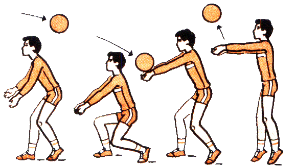 Нижняя подача прием мяча снизу. Прием и передача мяча снизу в волейболе. Передача мяча снизу двумя руками в волейболе. Техника выполнения передачи мяча двумя руками снизу. Техника приема и передачи мяча снизу в волейболе.