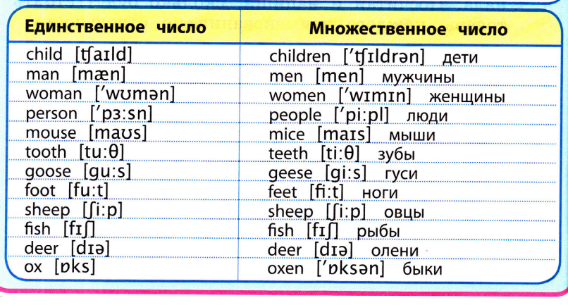 Слово им на английском. Множественное число существительных исключения англ яз. Слова исключения множественного числа в английском языке. Слова исключения англ яз множественное число. Слова исключения в английском существительные во множественном.