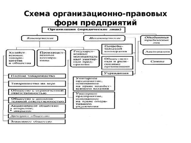 Организационно правовая схема общества